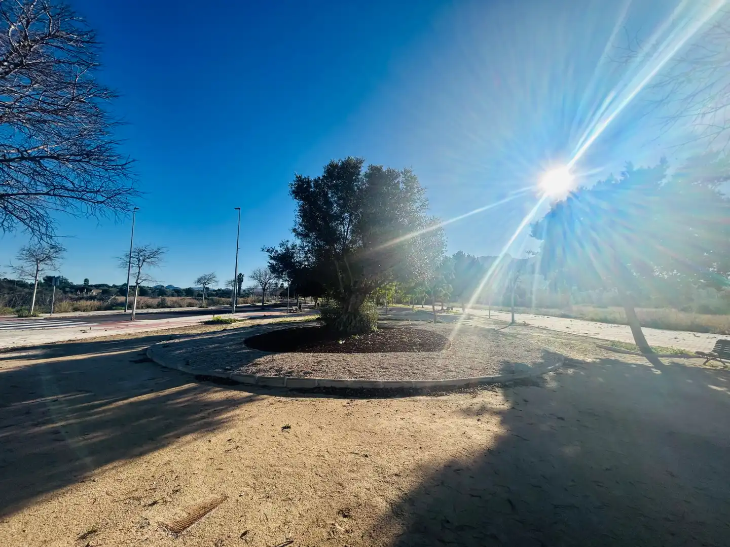 Terreny residencial en venda a El Verger, imagen 6