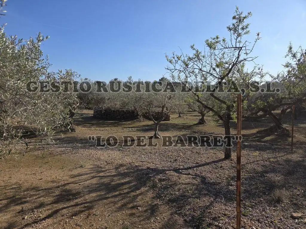 Finca rústica en venda en L'Ampolla amb Terrassa