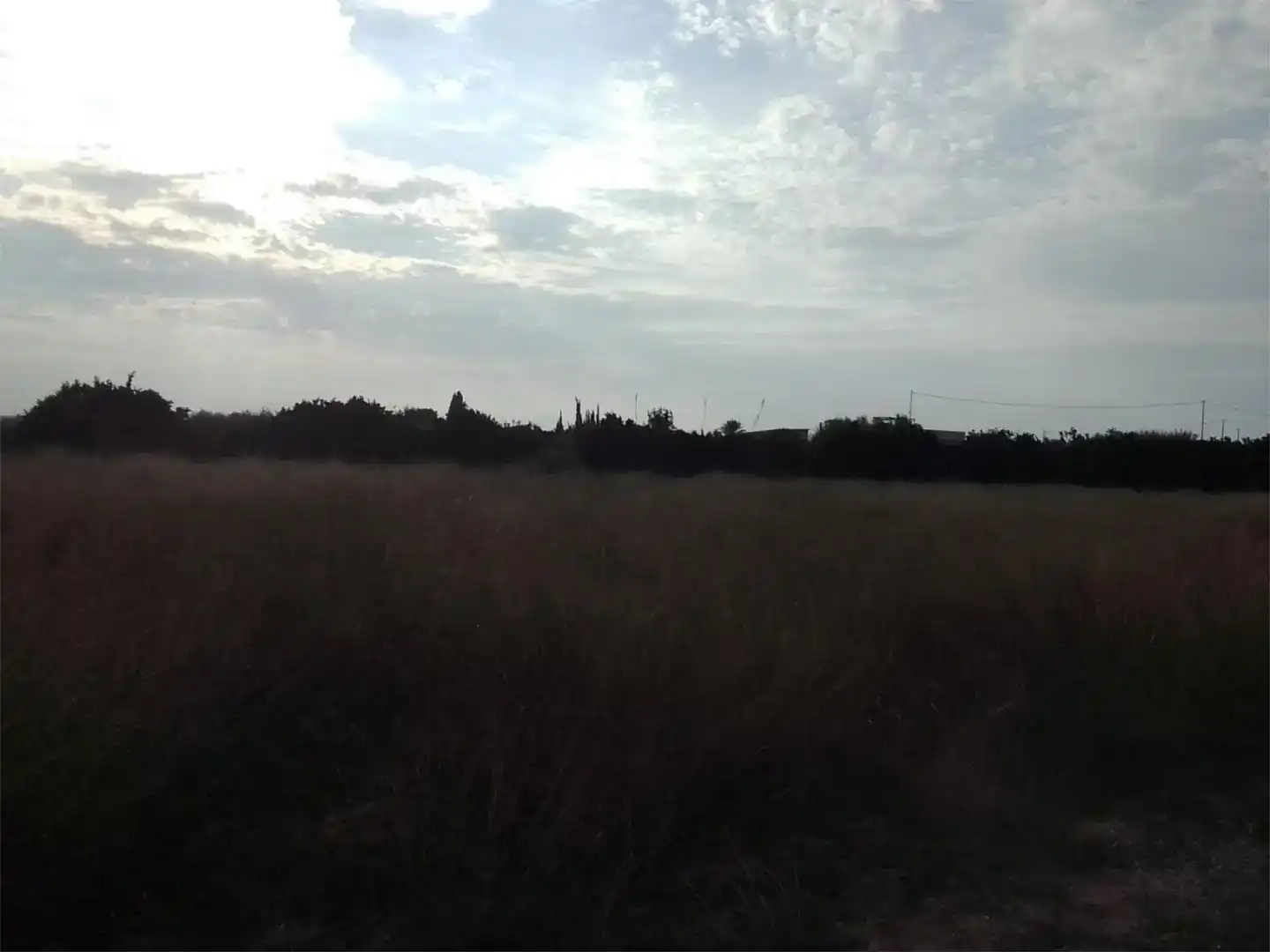 Land for sale in Guardamar del Segura