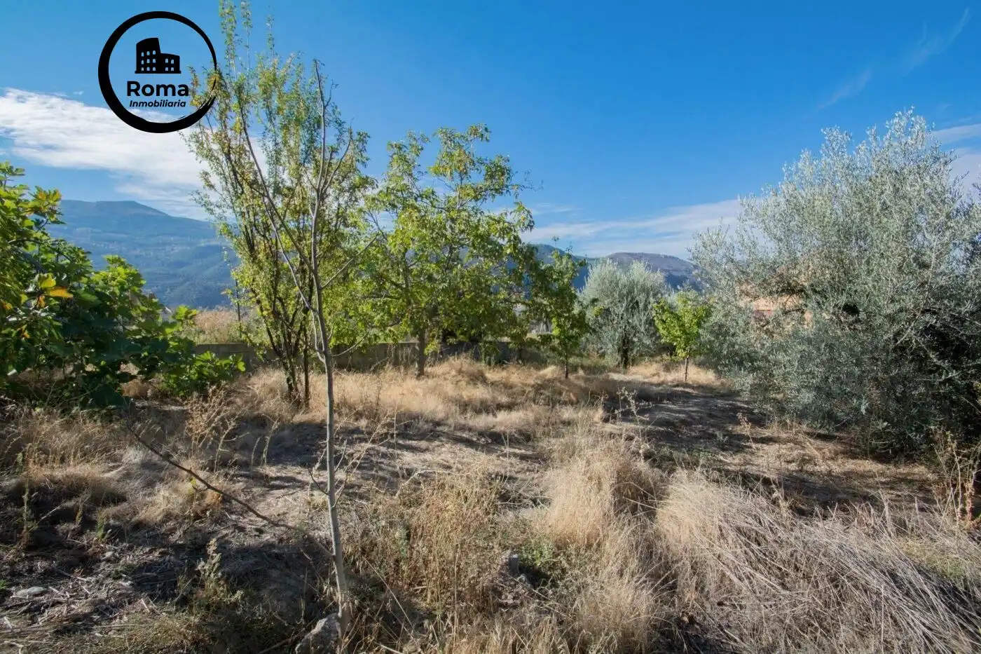 Villa con terrazza in vendita a Calle Fuente 16 Caños, imagen 54