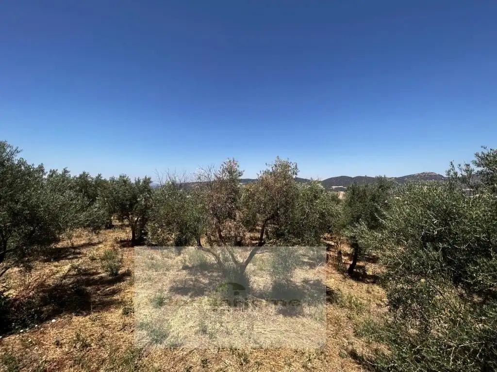 Casa rústica en venta en Arriate, imagen 25