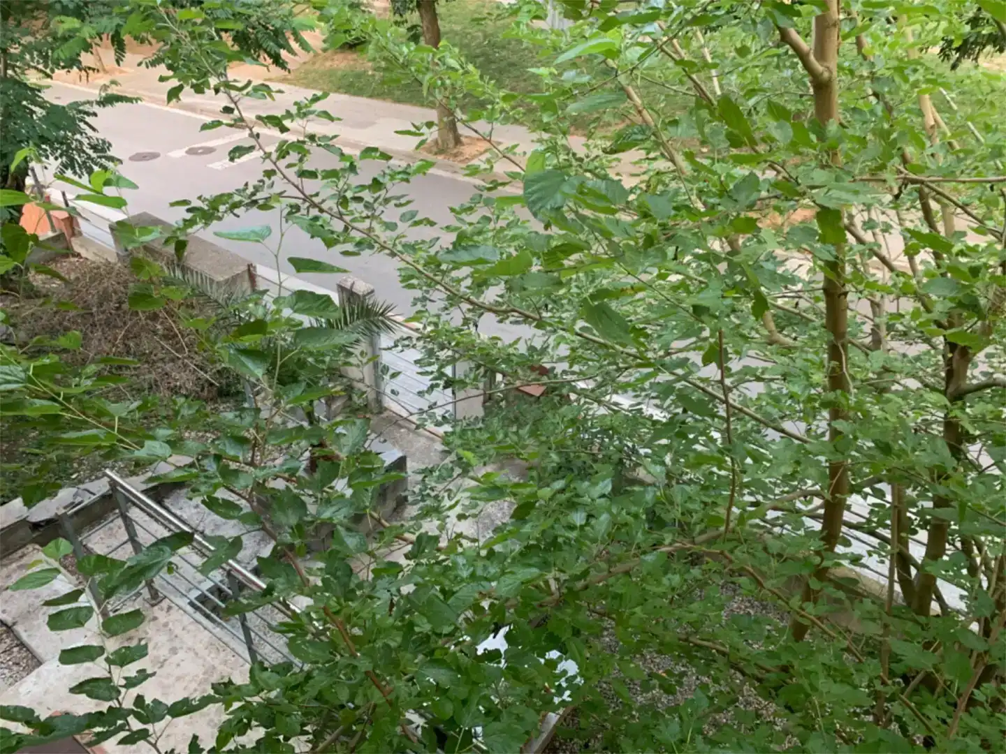 Vista exterior de Casa o chalet en venta en Gualba, Barcelona