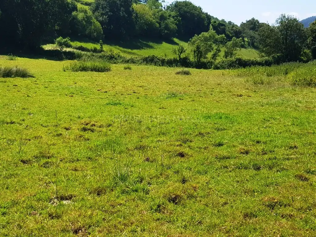 Residencial en venda en Villaviciosa