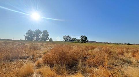 Photo 2 of Land for sale in Valdepasillas - La Paz - Huerta Rosales, Badajoz