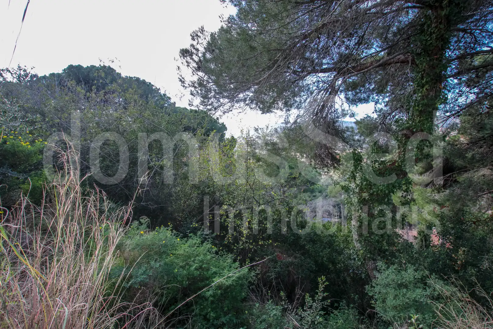 Residential for sale in Cabrils
