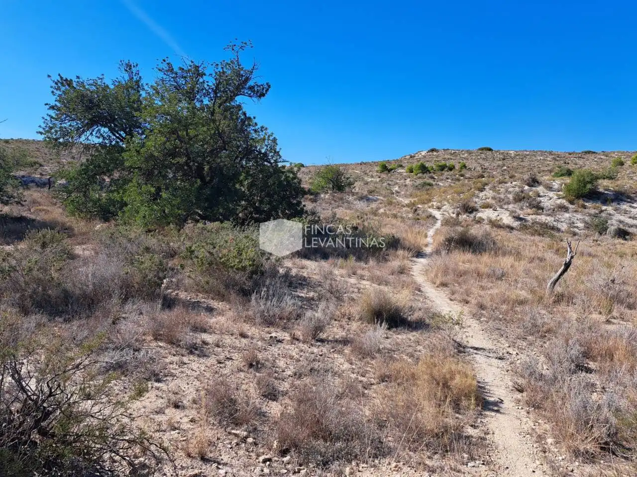 Terreny residencial en venda a Partidas de Alicante, imagen 4