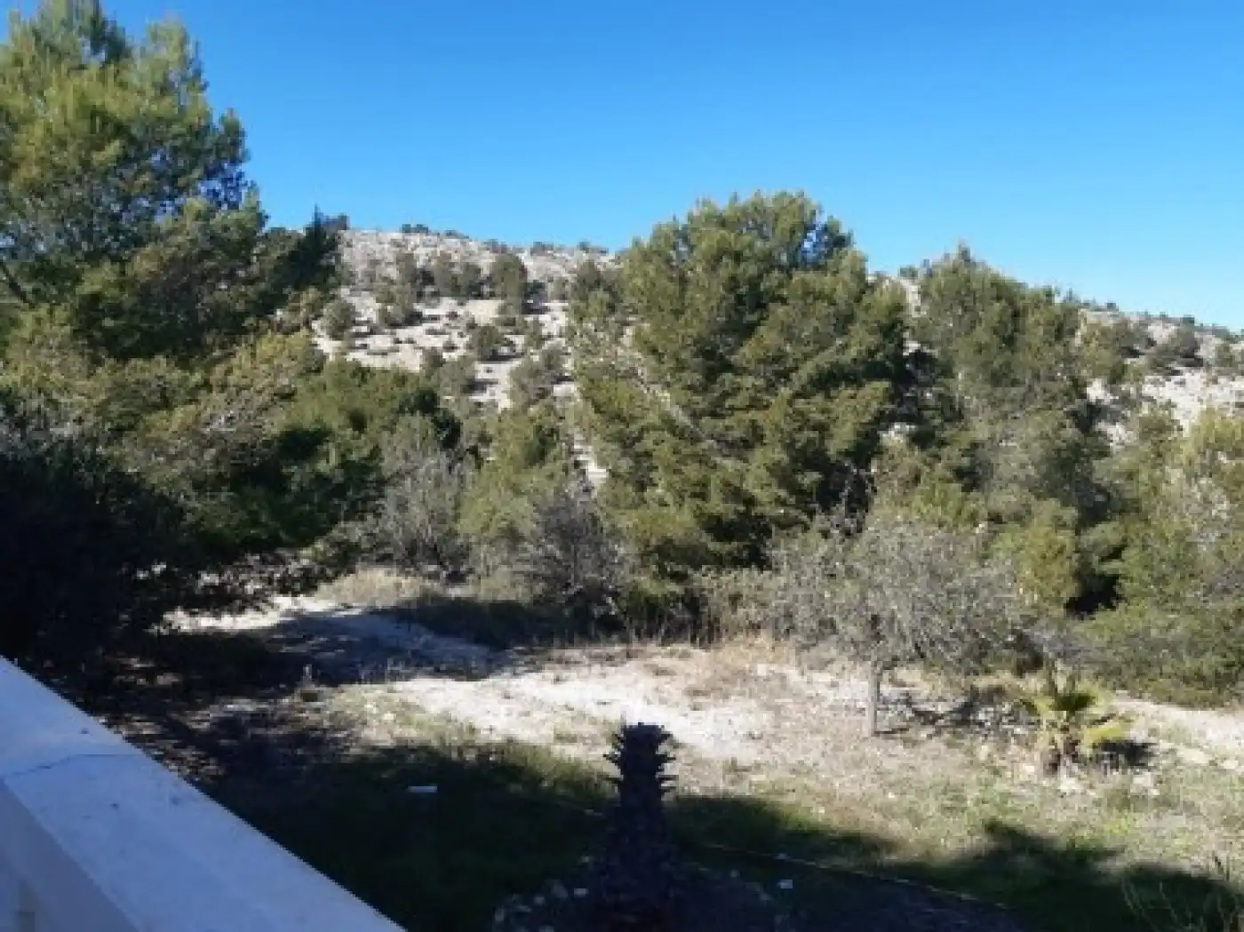 Xalet amb piscina en venda a Monóvar  / Monòver, imagen 46
