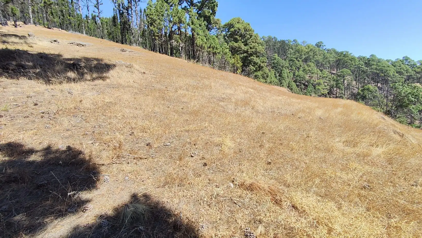 Rural land for sale in Machado - Las Barreras, imagen 8
