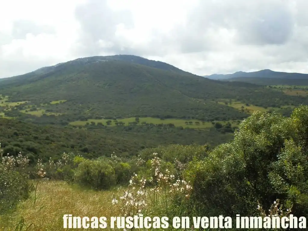 Terreno rústico en venta en Abenójar, imagen 17