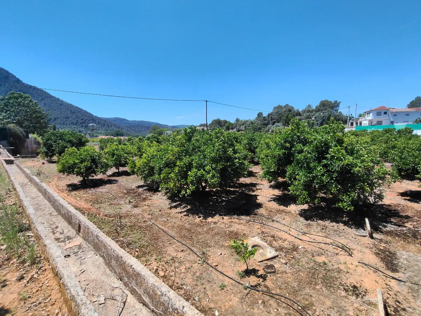 Finca rústica en venda en Simat de la Valldigna amb Jardí privat, Traster i Piscina