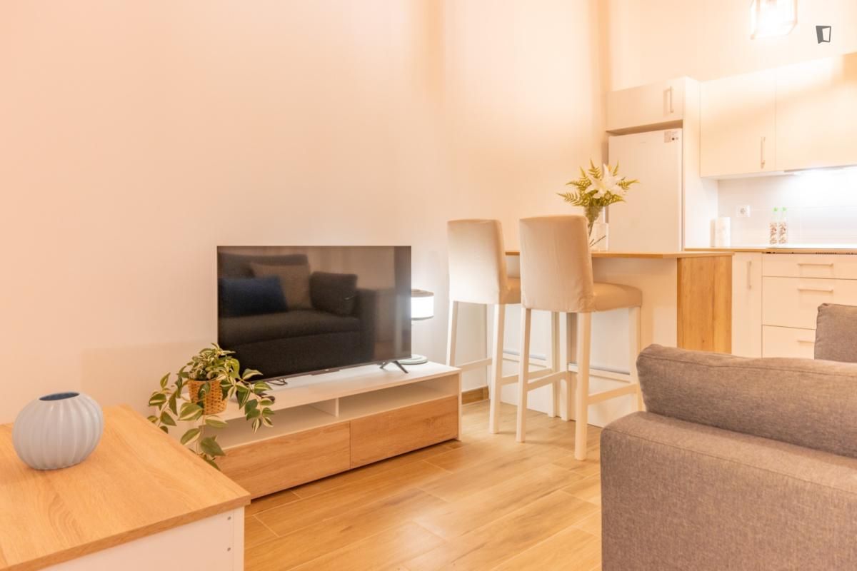 Sala de estar de Apartamento de alquiler en  Madrid Capital con Aire acondicionado, Amueblado y Lavadora