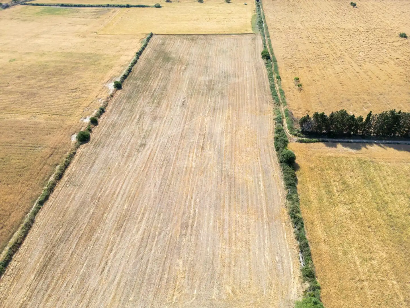 Casa rústica amb jardí en venda a Porreres, imagen 36