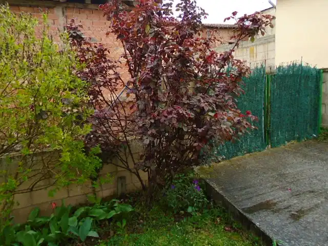 Jardín de Casa adosada en venta en Villaverde de Rioja con Calefacción, Jardín privado y Amueblado