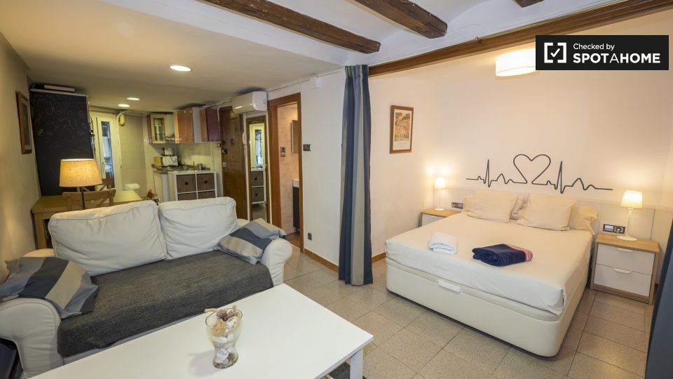 Sala d'estar de Pis de lloguer en  Barcelona Capital amb Aire condicionat, Calefacció i Moblat