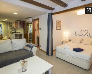 Sala d'estar de Pis de lloguer en  Barcelona Capital amb Aire condicionat, Calefacció i Moblat
