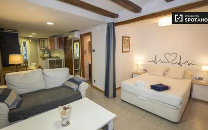 Sala d'estar de Pis de lloguer en  Barcelona Capital amb Aire condicionat, Calefacció i Moblat