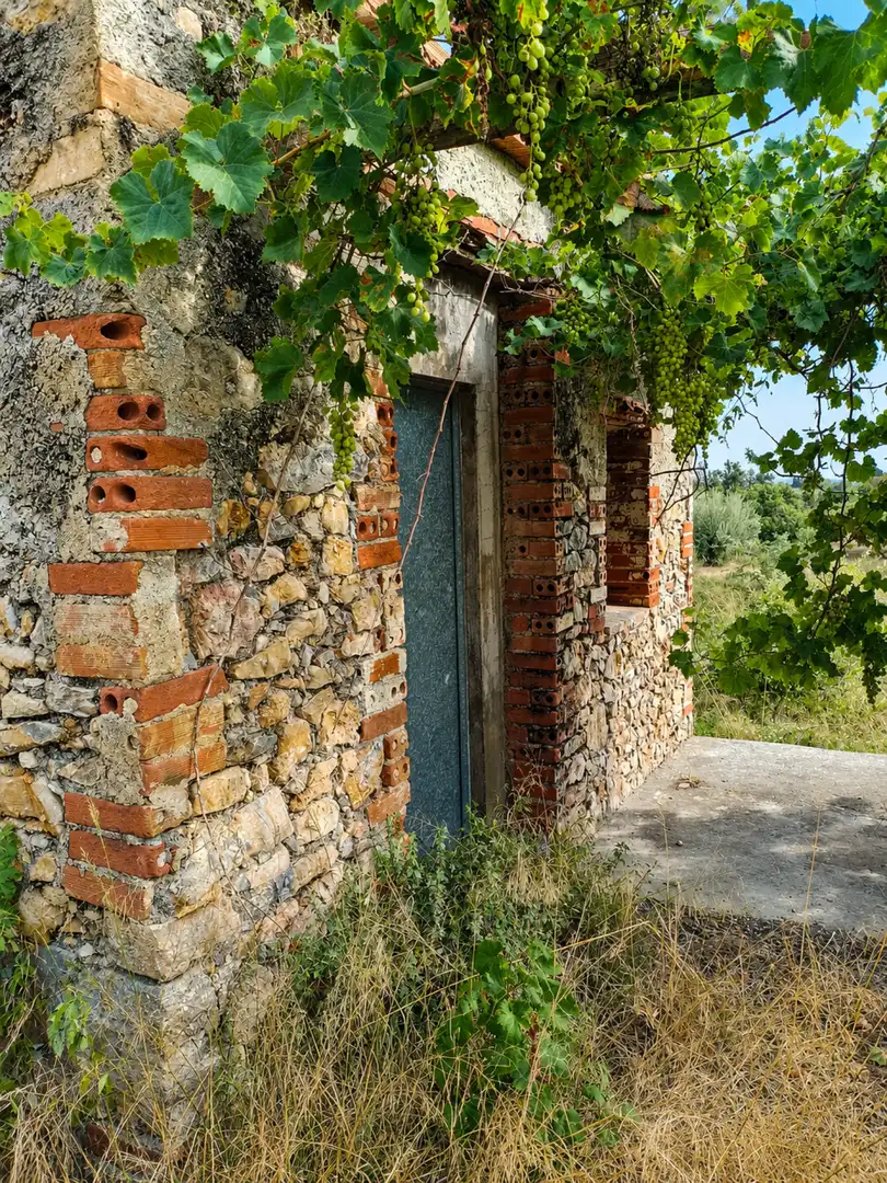 Vista exterior de Terreny en venda en Almenara