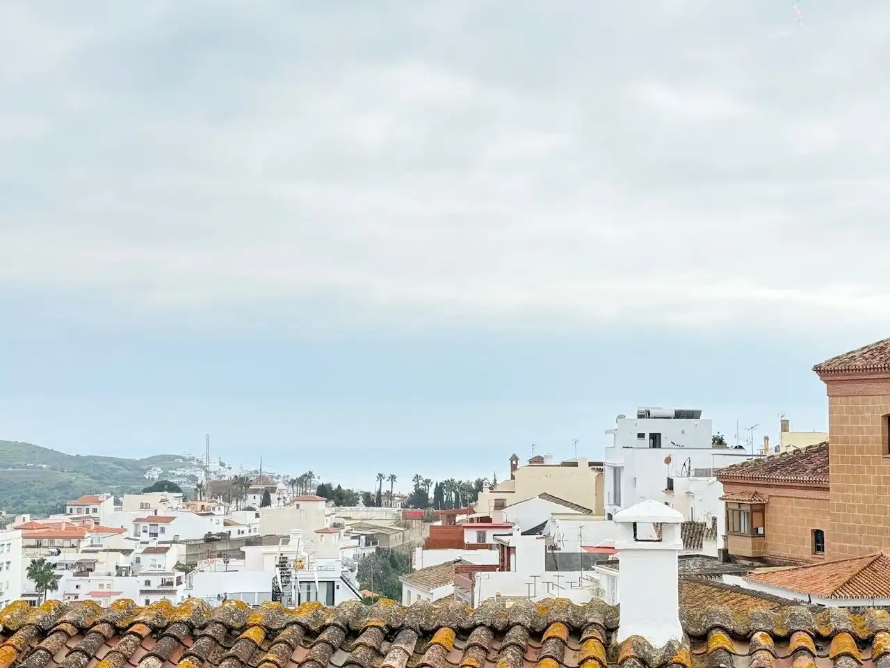 Vista exterior de Finca rústica en venta en Torrox