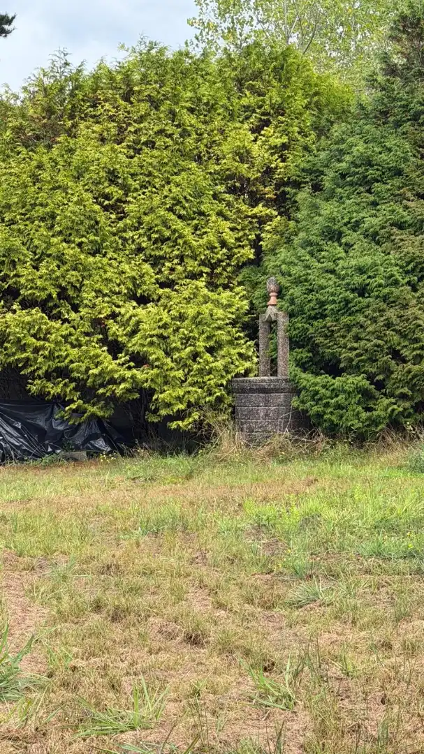Rural land for sale in La Iglesia, imagen 21