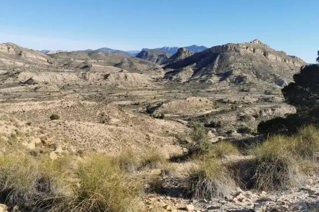 Rural land for sale in Centro, imagen 5