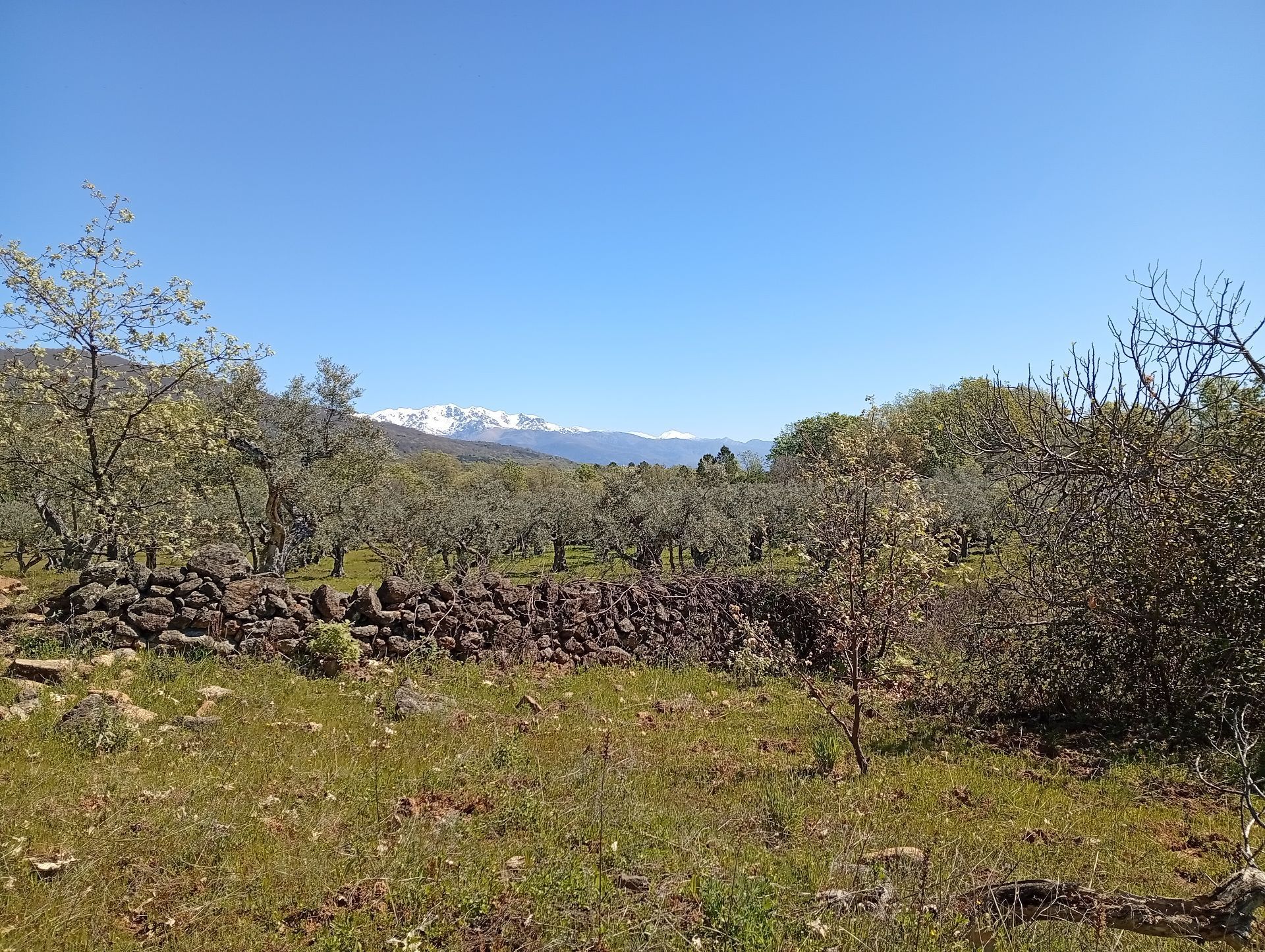 Residencial en venda en Valverde de la Vera