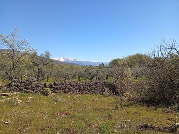 Terreni e lotti in vendita a Valverde de la Vera