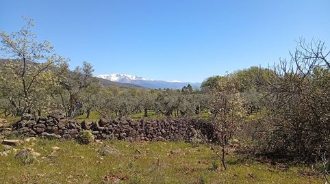 Imatge 1 de l'anunci