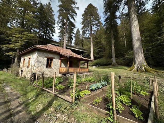 Finca rústica en Venta en Ikaztegieta