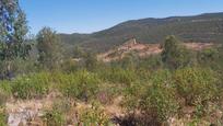 Finca rústica en venda en Villanueva de la Serena amb Traster, Moblat i Alarma