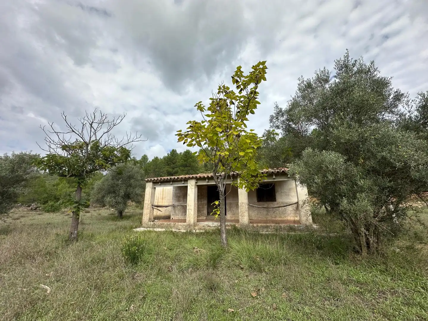Vista exterior de Finca rústica en venta en Enguera