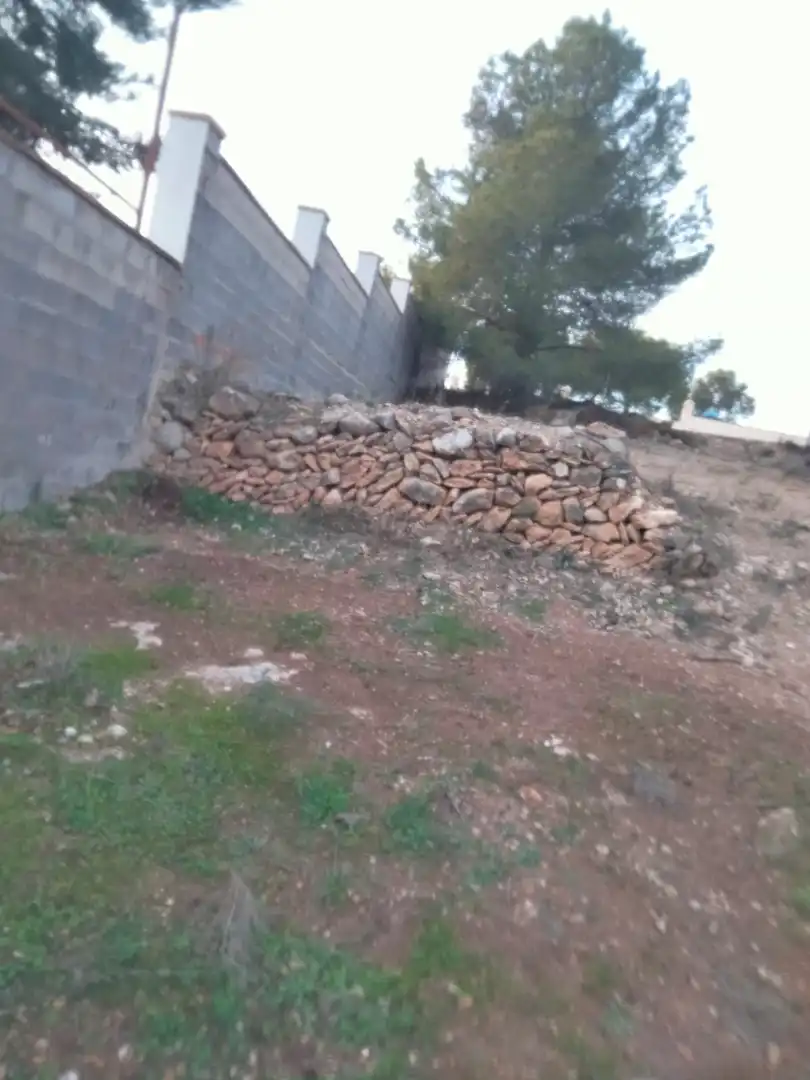 Terreno residencial en venta en Casinos, imagen 5
