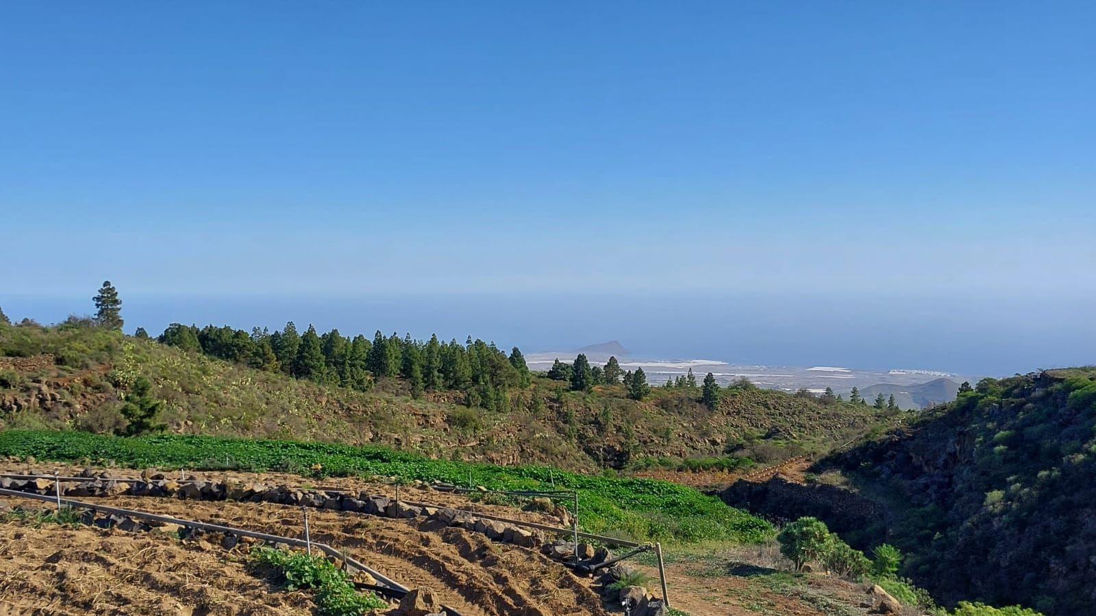Study for sale in Vilaflor de Chasna  with Private garden