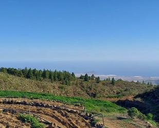 Estudi en venda en Vilaflor de Chasna amb Jardí privat