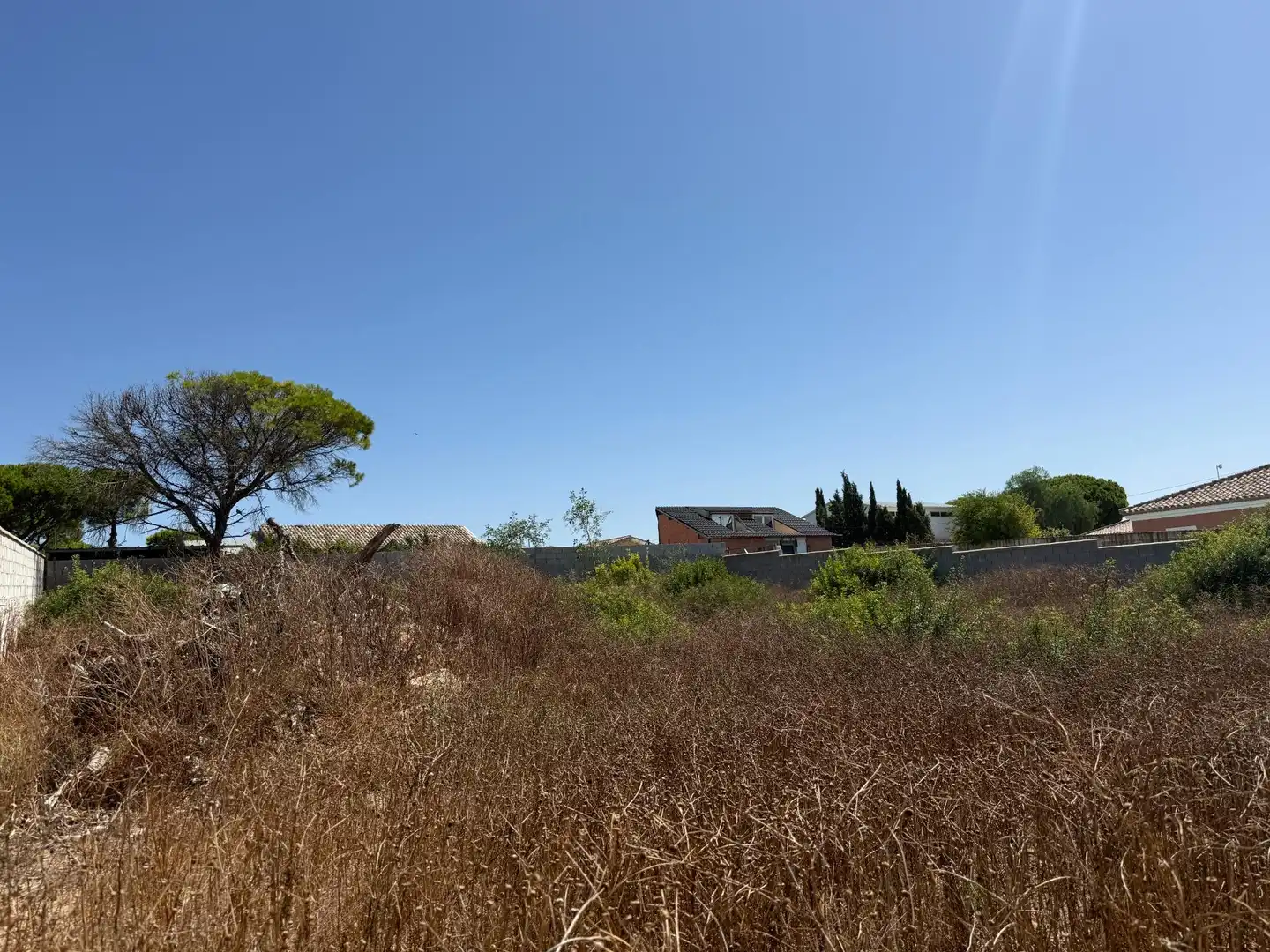 Rustikales Grundstück zum Verkauf in Las Lagunas - Campano, imagen 2
