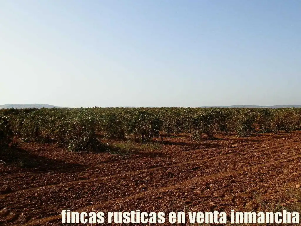 Terrenys i solars en venda a Almagro, imagen 9