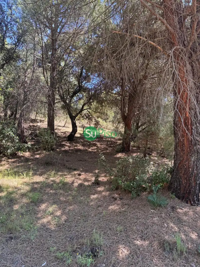 Casa o xalet en venda en San Martín de Valdeiglesias amb Jardí privat