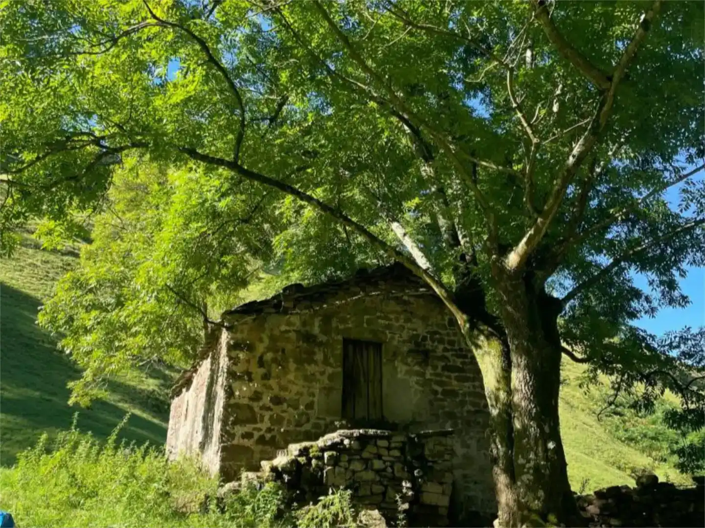 Vista exterior de Finca rústica en venda en Selaya