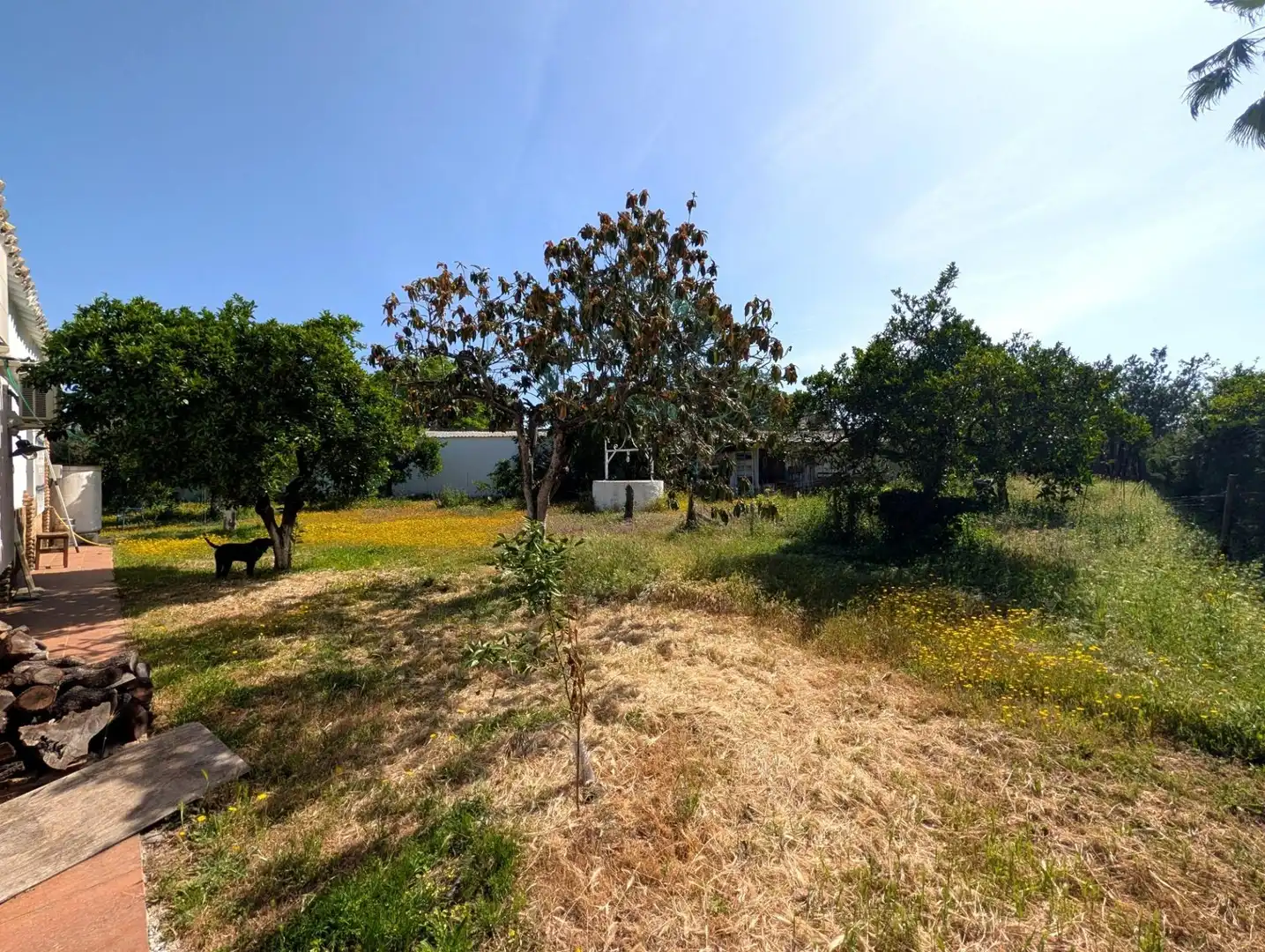 Chalet con jardín en venta en Sanlúcar la Mayor, imagen 33
