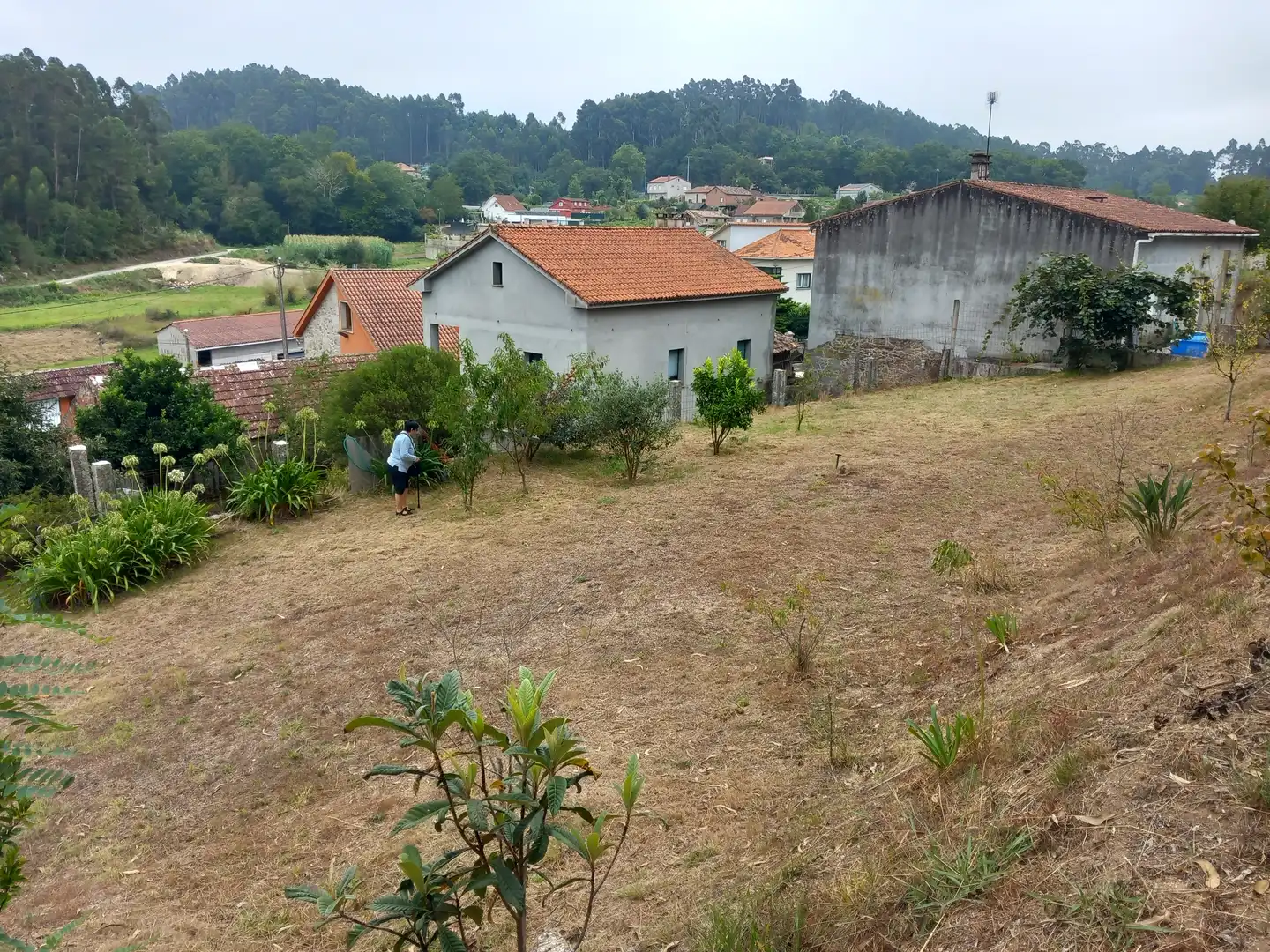 Casa o chalet en venta en Meis