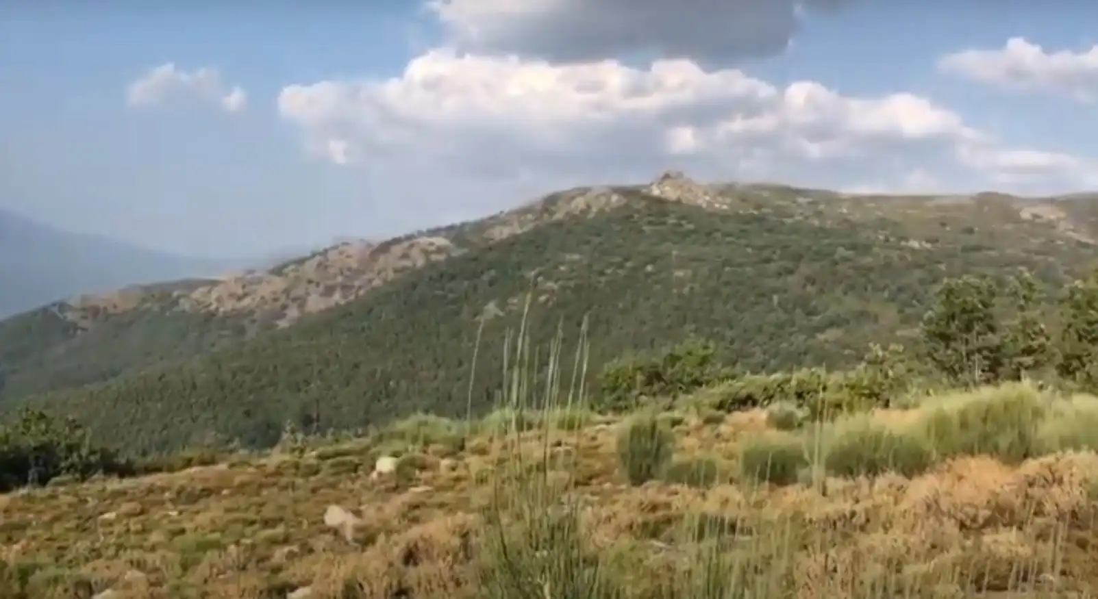 Terreni e lotti in vendita a Jerte, imagen 5