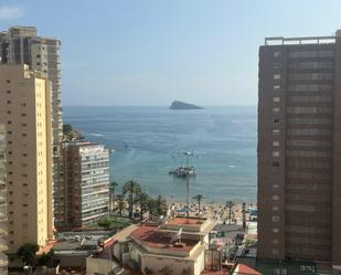Estudi en venda a Playa Levante