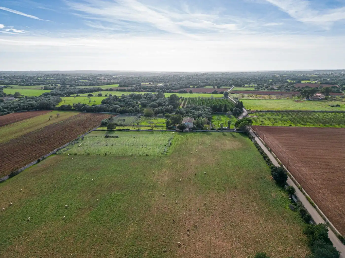 Residential land for sale in S'Horta - Cas Concos des Cavaller - Es Carritxó, imagen 25