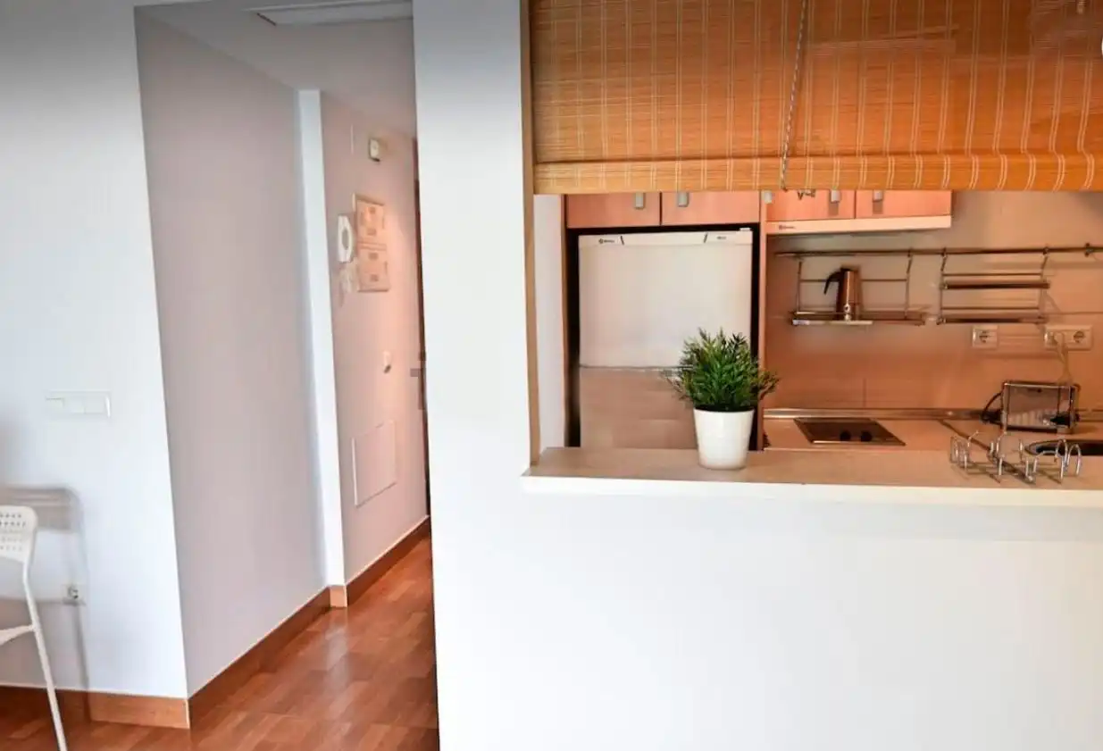 Kitchen of Apartments for rent in Málaga Capital  with Air Conditioner, Heating and Parquet flooring