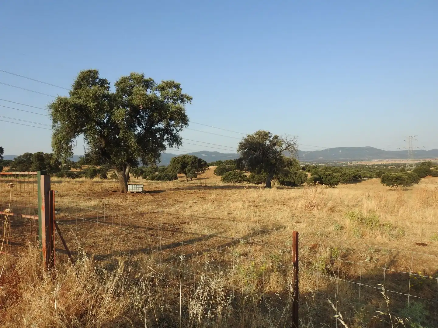 Land for sale in Villar del Pedroso