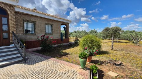 Foto 3 de Casa o chalet en venta en Carmona, Sevilla