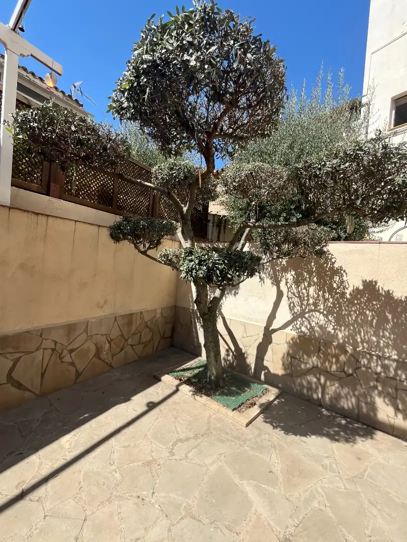 Chalet con balcón en venta en Carrer Vescomte Arnau, imagen 20