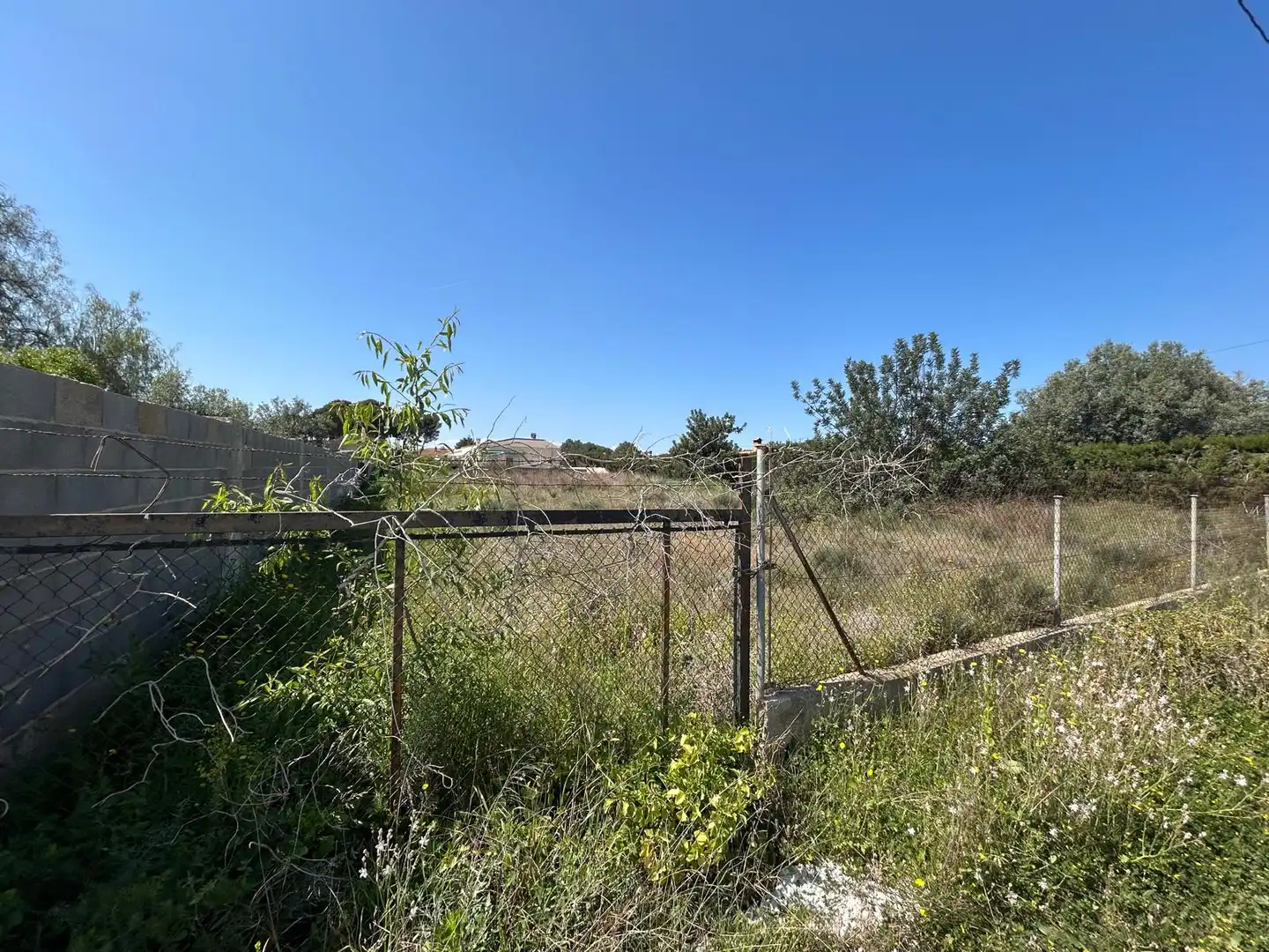 Terreno residenziale in vendita a La Conarda - Montesano, imagen 2