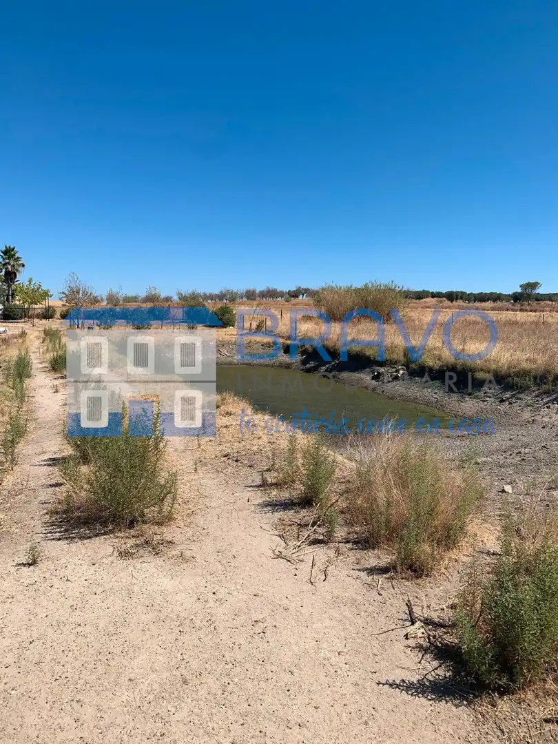 Chalet en venta en La Haba, imagen 32