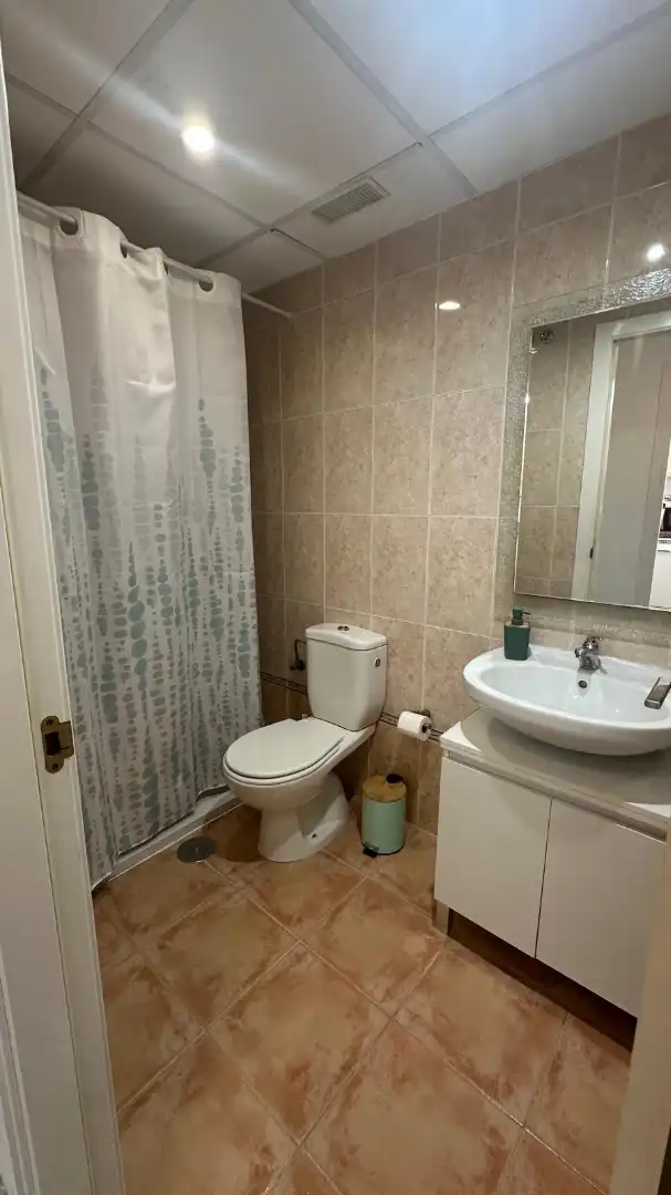 Penthouse mit Terrasse zur Miete in Avenida del Doctor Manuel Domínguez 23, imagen 9
