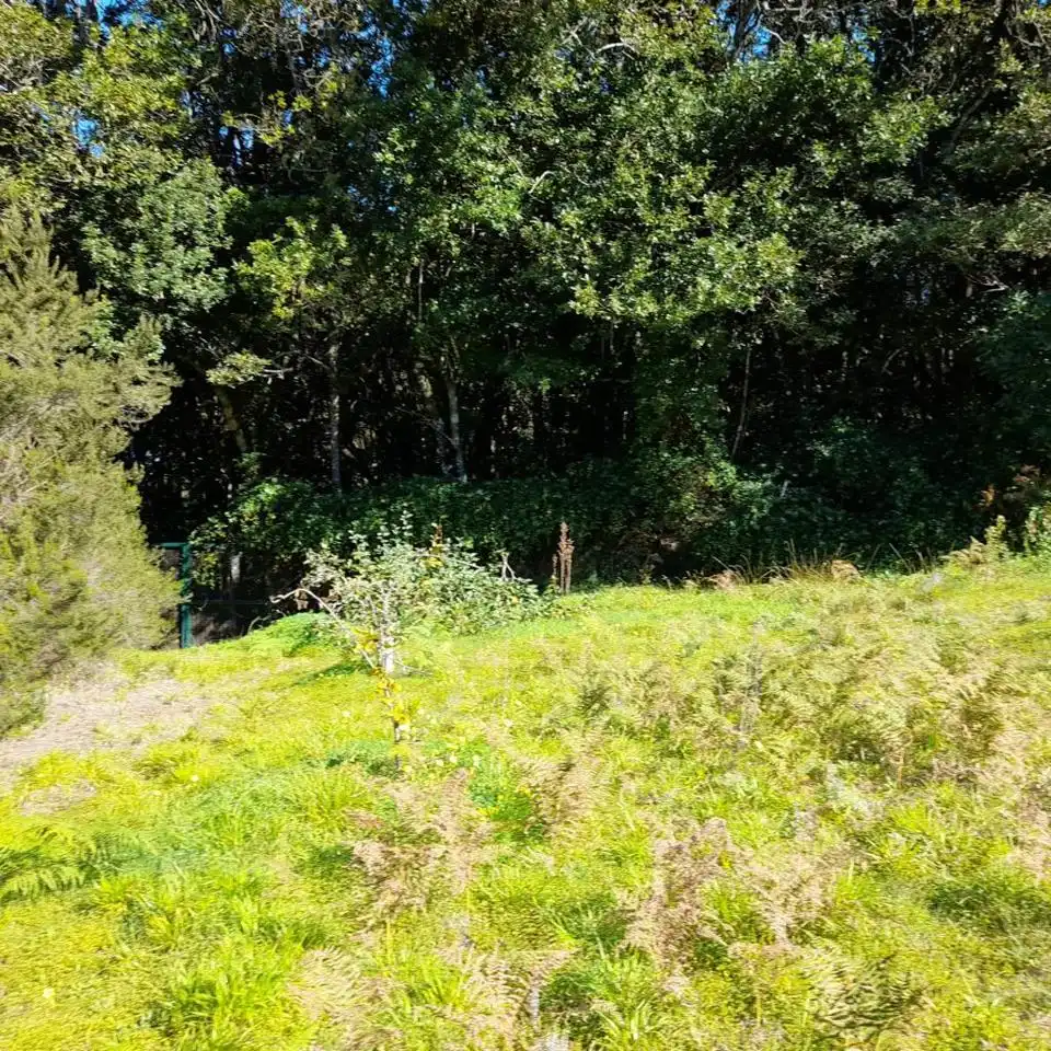 Rural land for sale in Hoya De Manzaneros, imagen 11
